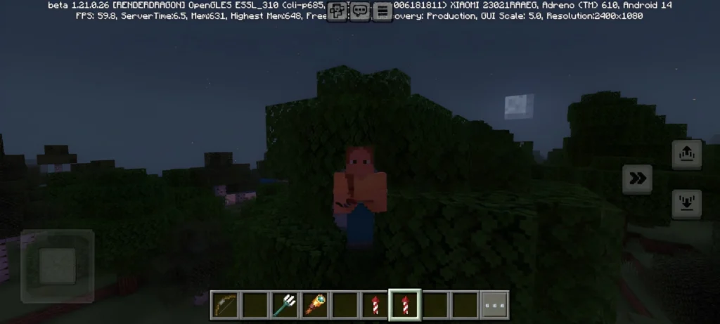 Minecraft APK 9