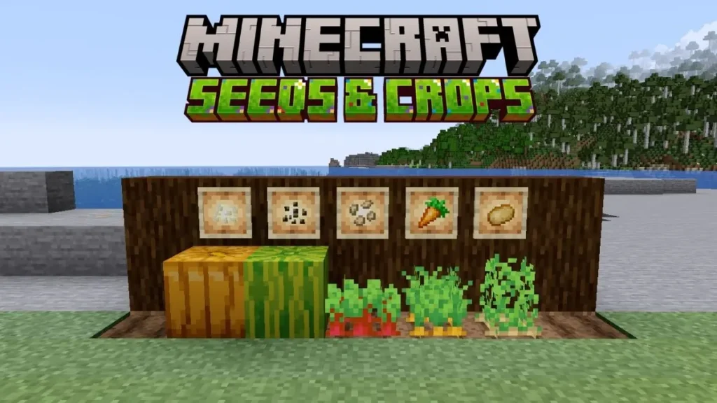 ¿Por Qué Son Esenciales las Minecraft Seeds para el Juego?