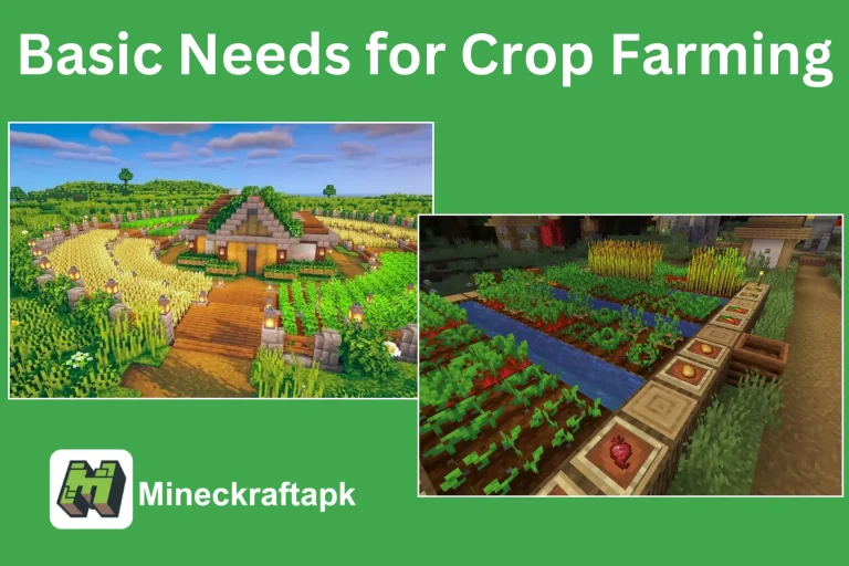 Requisitos Básicos para una Granja Saludable