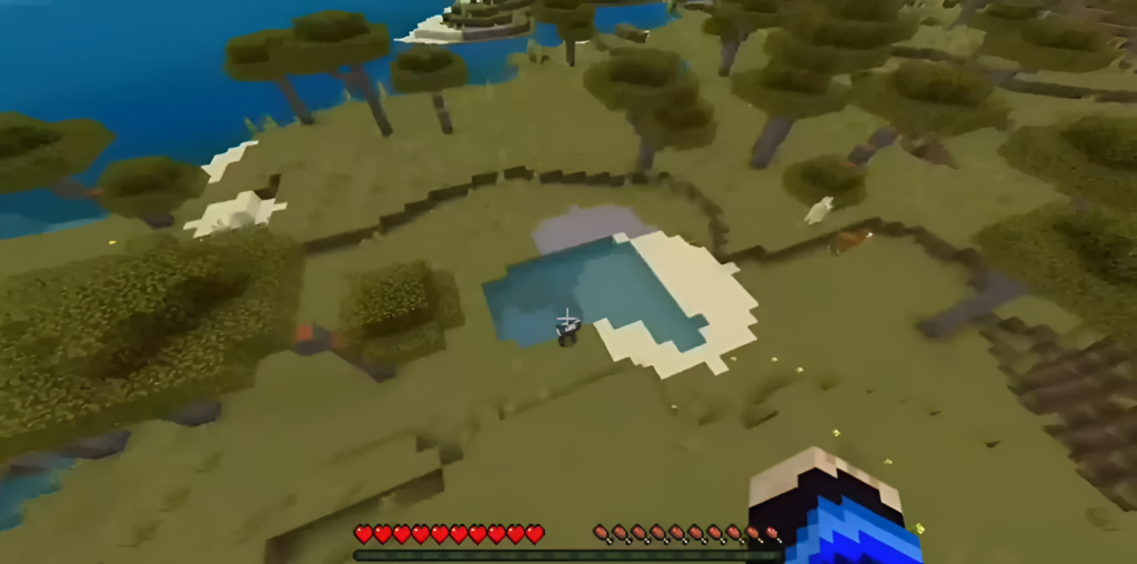 Volar en Modo Supervivencia (2)