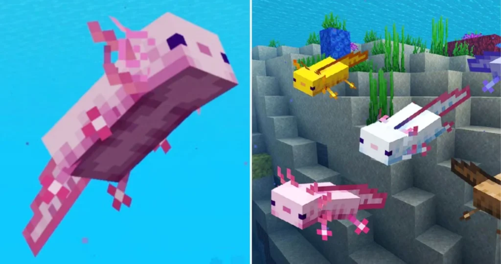 Características Principales de los Axolotls en Minecraft