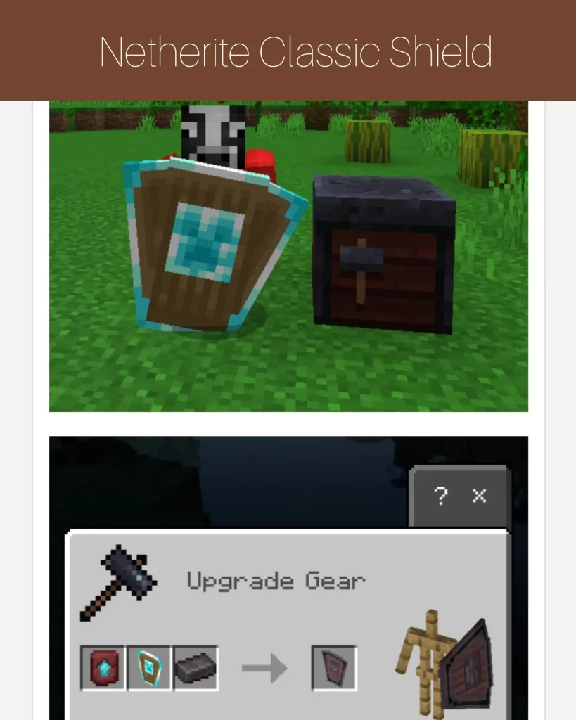 Netherite Classic Shield
