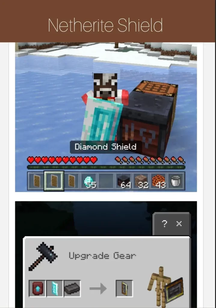 Netherite Shield